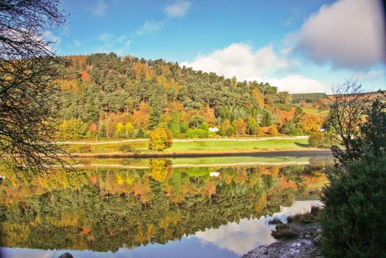 dublin-kilkenny-wicklow-glendalough-tour-sheepdog-show