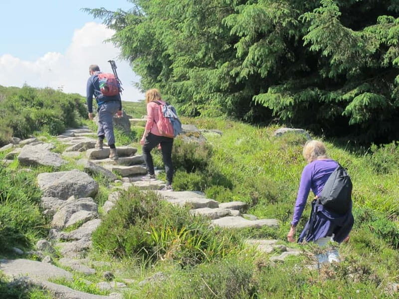 Dublin: Mountains and Megaliths Trek - Practical Details and Tips