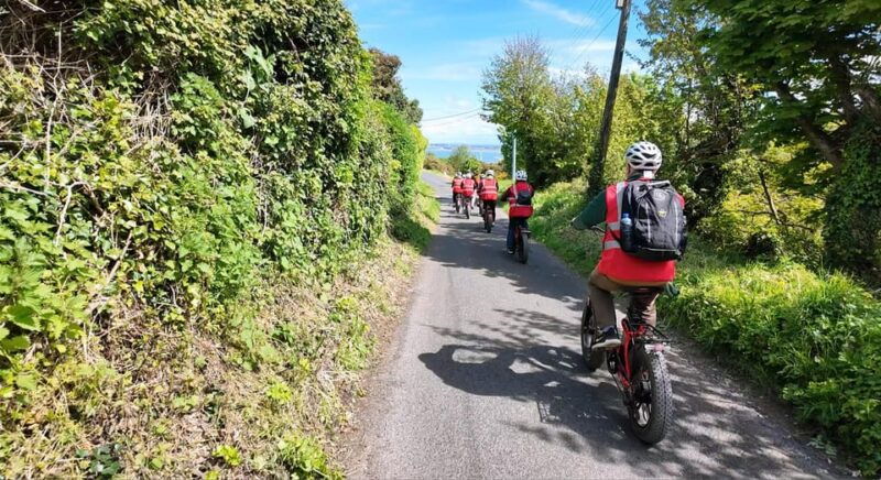 dublin-panoramic-e-bike-tour