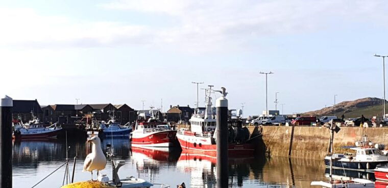 dublin-private-day-tour-of-howth-and-malahide-villages