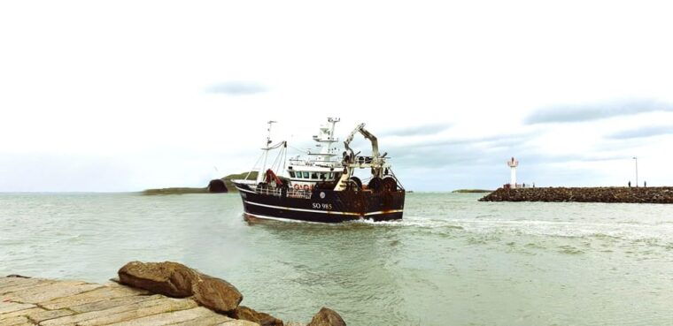 dublin-private-day-tour-of-howth-and-malahide-villages