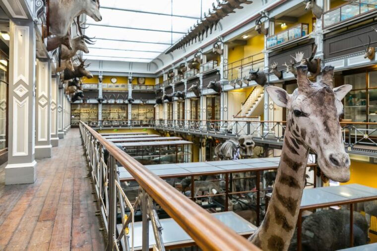 dublin-the-dublin-pass-with-tickets-to-40-attractions