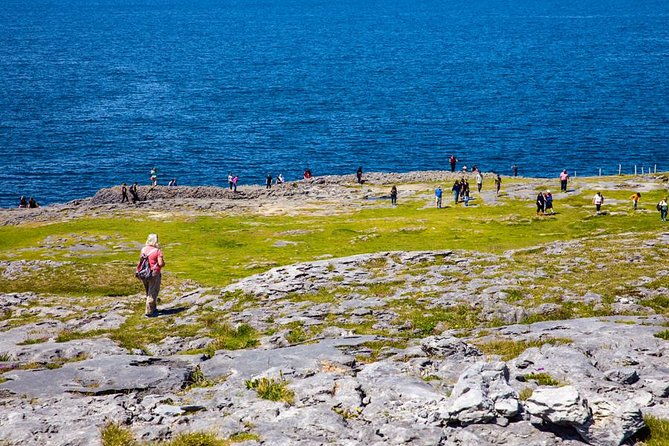 dublin-to-aillwee-cave-burren-wildlife-demo-and-cliffs-of-moher