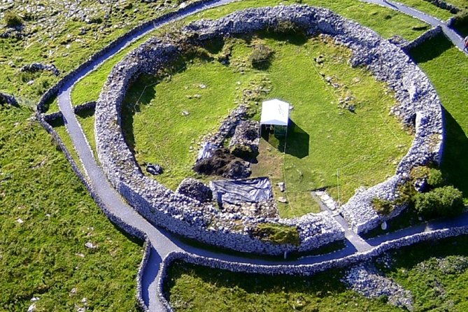 dublin-to-aillwee-cave-burren-wildlife-demo-and-cliffs-of-moher