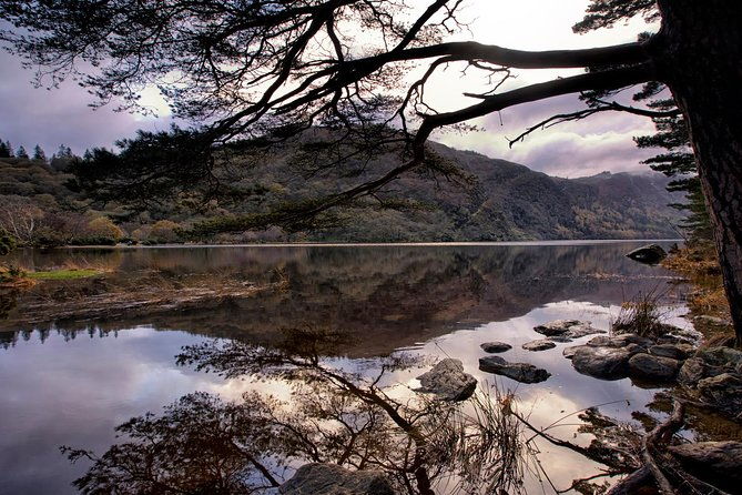 dublin-to-kilkenny-wicklow-glendalough-laragh-sheep-dog-trial