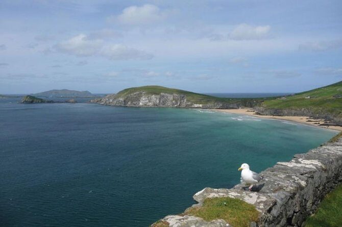 Dublin to South West 5 Day Small-Group Tour with Accommodation - FAQ
