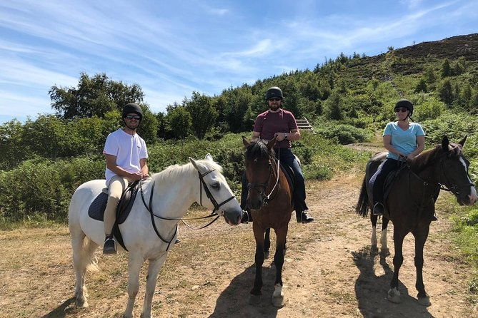 dublin-to-wicklow-glendalough-small-group-tour-with-horse-riding