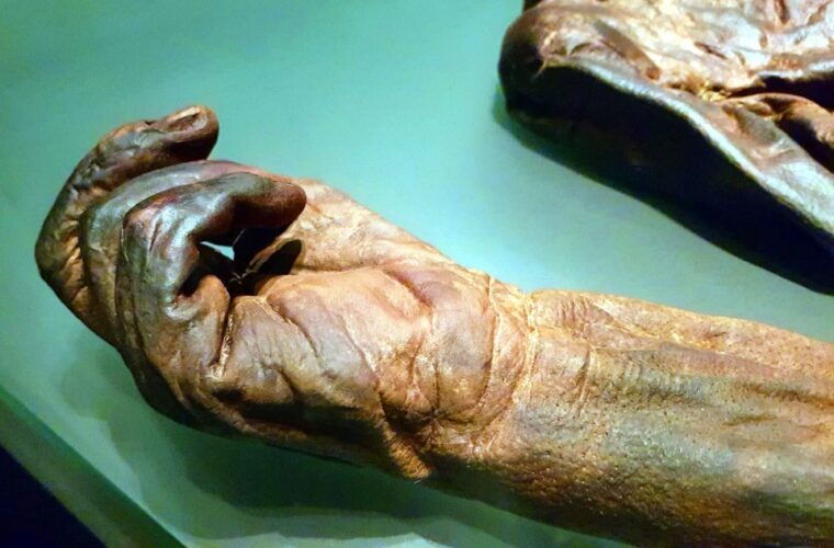 dublin-treasures-of-ireland-museums-private-tour