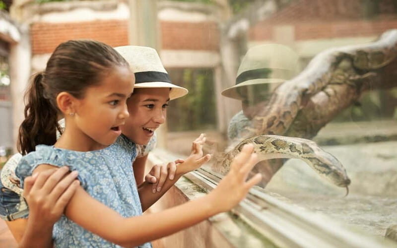 Dublin Zoo: Skip-the-Line Tickets with Private Transfers - What to Expect from the Dublin Zoo Tour