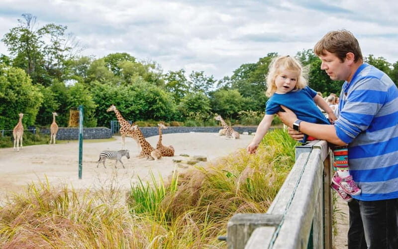 Dublin Zoo: Skip-the-Line Tickets with Private Transfers - Detailed Breakdown of the Day