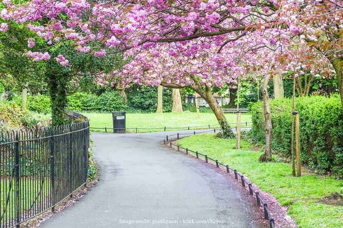 dublins-literary-history-private-off-the-beaten-path-walking-tour