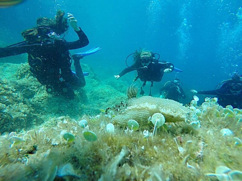 dubrovnik-1-day-discover-scuba-diving-course