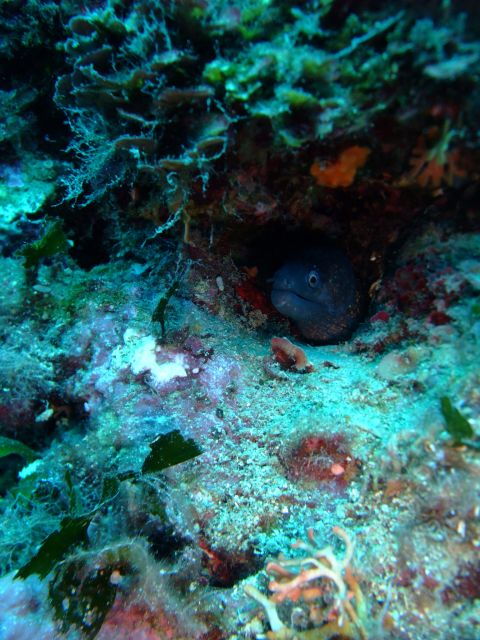 dubrovnik-1-day-diving-package