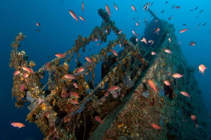 dubrovnik-1-day-diving-package