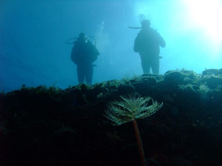 dubrovnik-1-day-diving-package