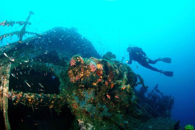 dubrovnik-1-dive-for-certified-divers