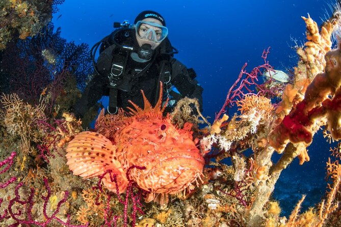 dubrovnik-1-dive-for-certified-divers