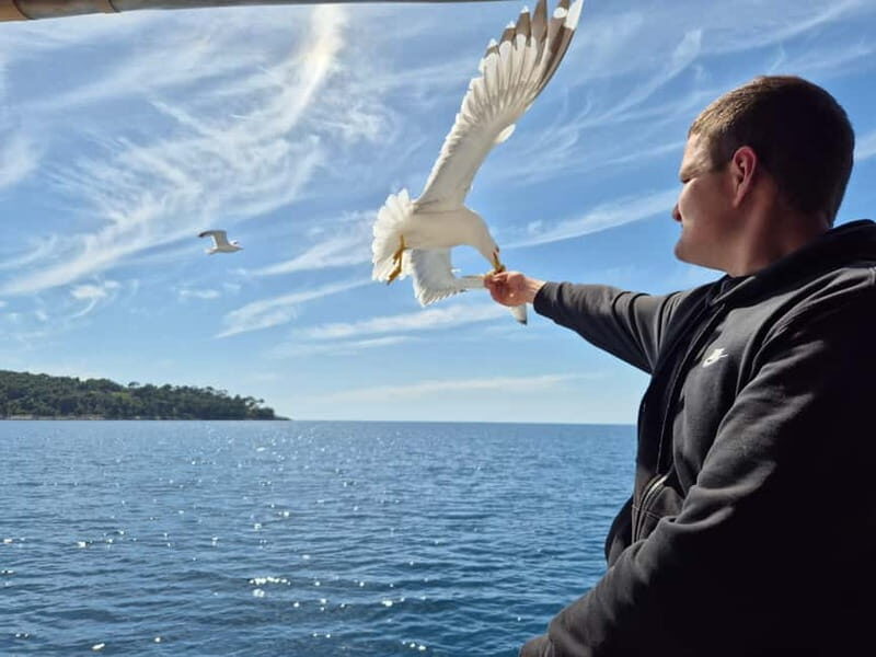Dubrovnik: 3 Island Boat Tour with Lunch and Guide - An In-Depth Look at the Dubrovnik 3 Island Boat Tour