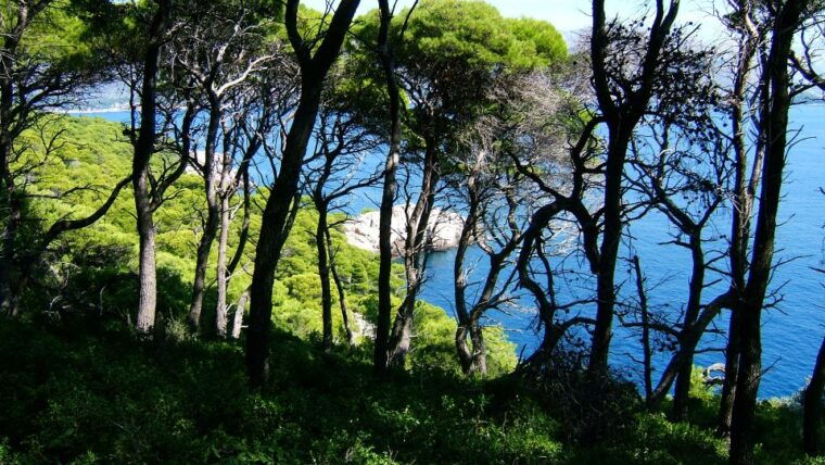 dubrovnik-blue-cave-and-elafit-small-group-boat-exploration