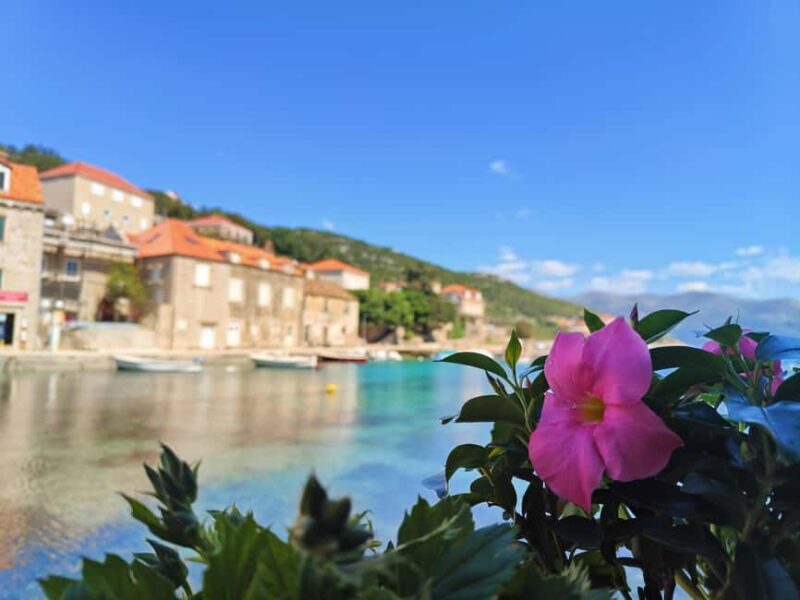 Dubrovnik: Blue Cave & Elaphiti Islands Full-Day Boat Tour - Who Will Love This Tour?  