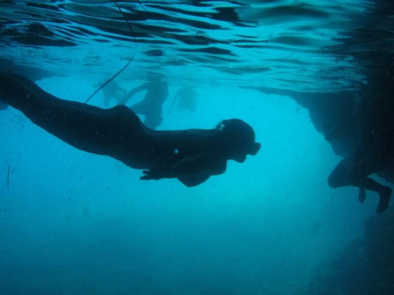 dubrovnik-blue-cave-sunj-beach-boat-tour-with-drinks
