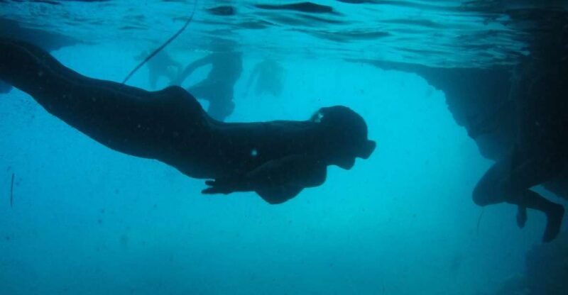 dubrovnik-blue-cave-sunj-beach-boat-tour-with-drinks