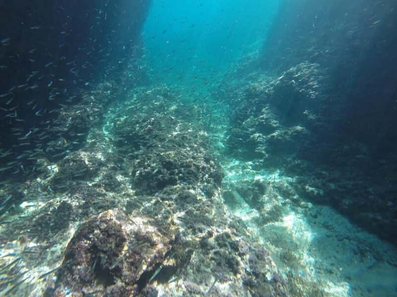 Dubrovnik: Blue Cave Tour by Speedboat with Small Group - The Water Activities and Comfort