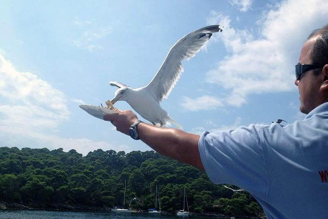 dubrovnik-elafiti-islands-cruise-with-lunch-drinks-and-pickup