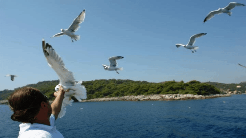 dubrovnik-elaphiti-islands-boat-cruise-with-lunch-drinks