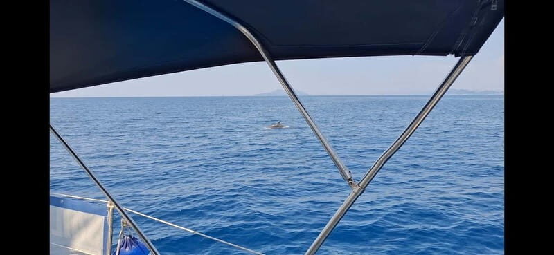 Dubrovnik - Full day Small group tour to Elafity & Blue cave - What Makes This Tour Special