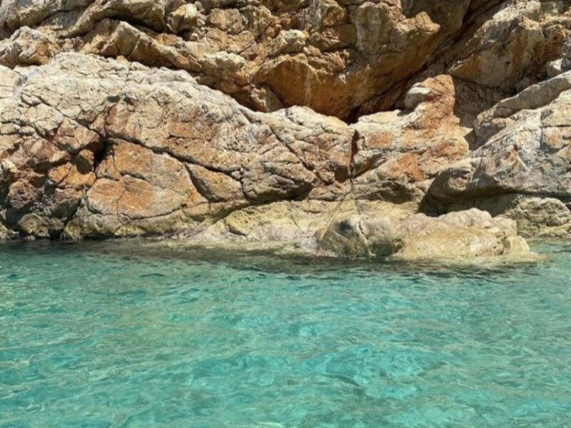 dubrovnik-full-day-tour-elaphite-islands