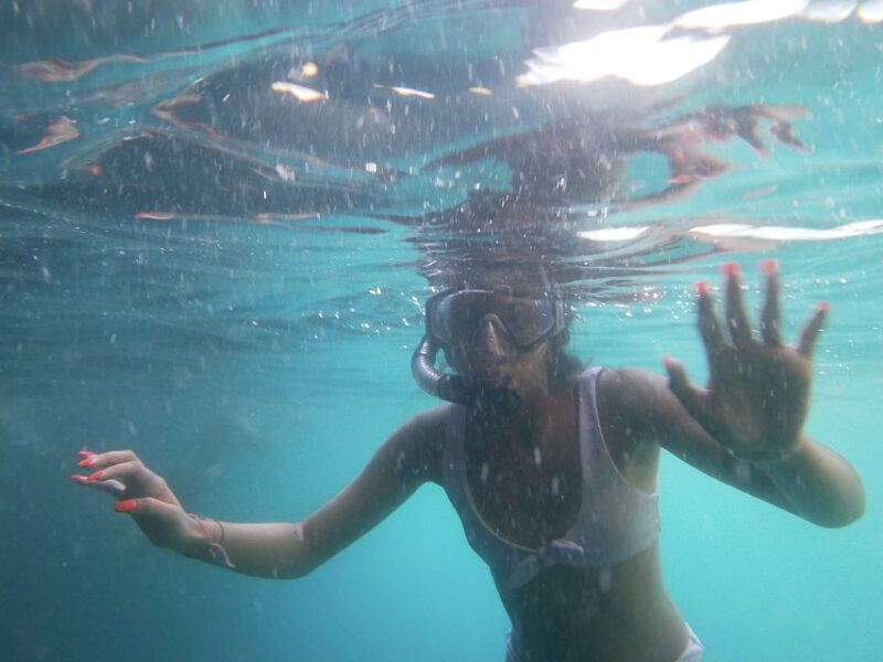 dubrovnik-half-day-private-boat-trip-to-elafiti-islands