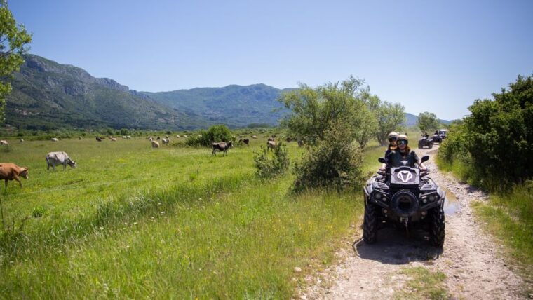 dubrovnik-kojan-koral-atv-quad-safari