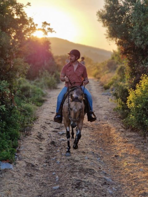 dubrovnik-kojan-koral-horseback-riding