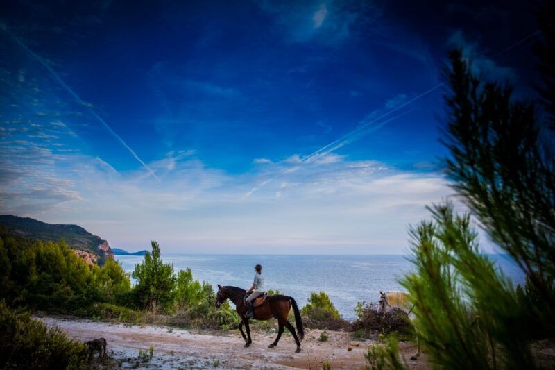 dubrovnik-kojan-koral-horseback-riding