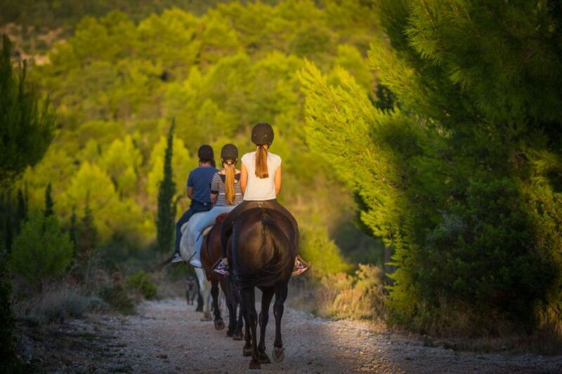 dubrovnik-kojan-koral-horseback-riding