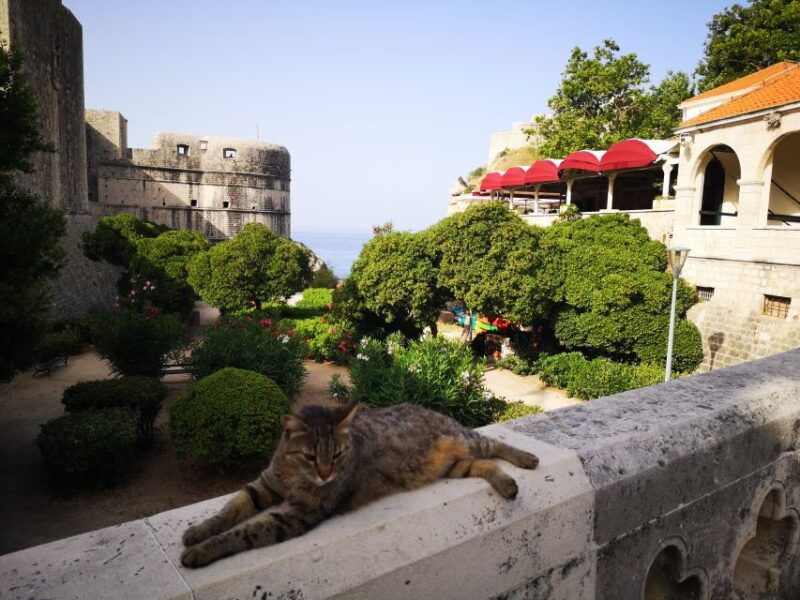 dubrovnik-old-city-private-tour