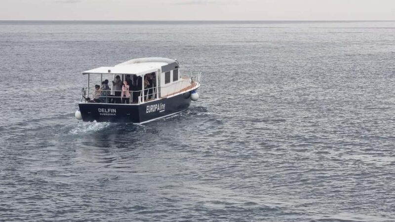 Dubrovnik: Old Town and Lokrum Island Panoramic Cruise - Key Points  