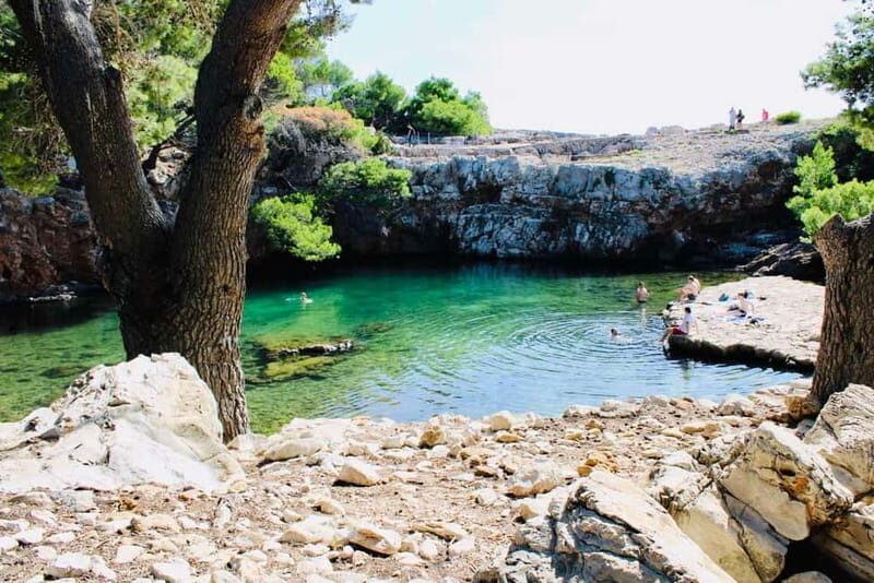 Dubrovnik or Cavtat: Lokrum Island and Betina Cave Boat Tour - Key Points