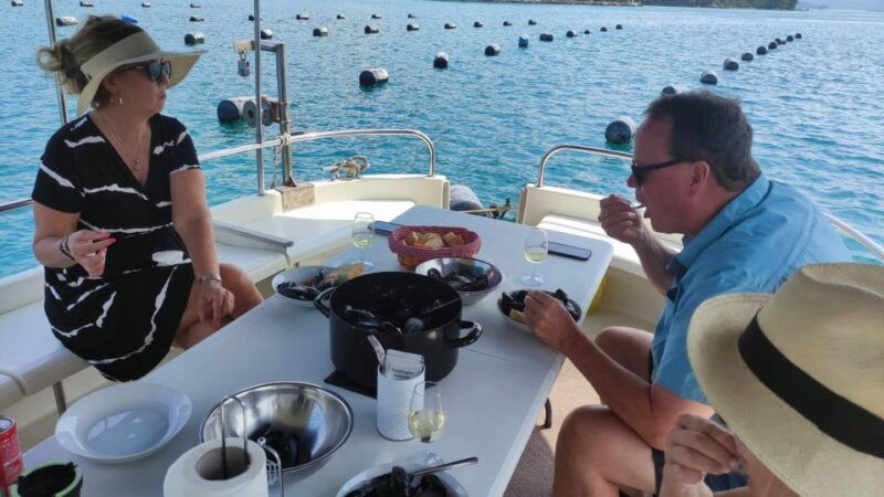 dubrovnik-oyster-mussles-and-wine-tasting-tour-in-ston