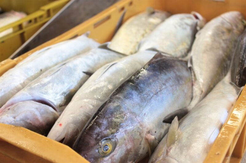 dubrovnik-private-cooking-experience-with-wine-tasting