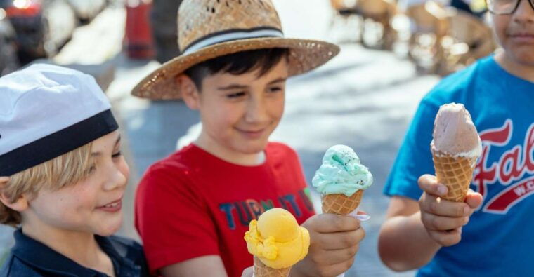 dubrovnik-private-family-friendly-city-tour-with-guide