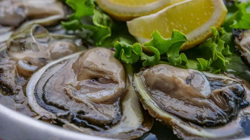 Dubrovnik: Private Tour with Oyster Tasting - Ston and Its Legendary Oysters