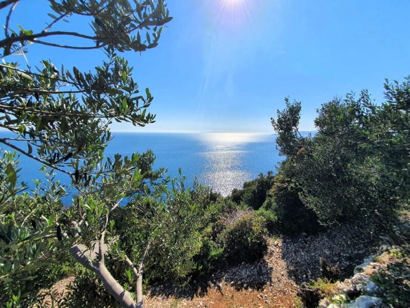 dubrovnik-private-wine-tasting-tour-to-peljesac-2