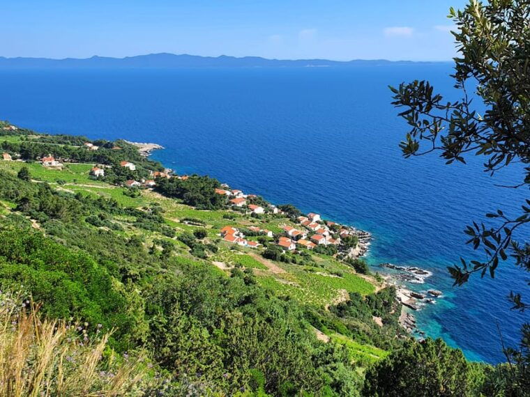 dubrovnik-private-wine-tasting-tour-to-peljesac-2