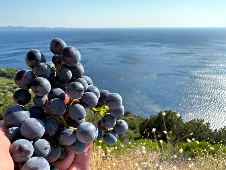 dubrovnik-private-wine-tasting-tour-to-peljesac-2