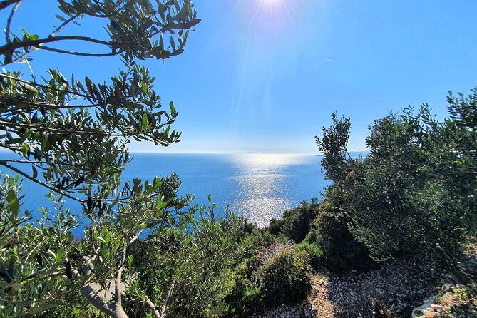 dubrovnik-private-wine-tasting-tour-to-peljesac