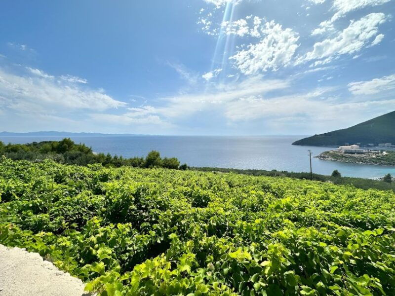 dubrovnik-private-wine-tour-to-peljesac-peninsula