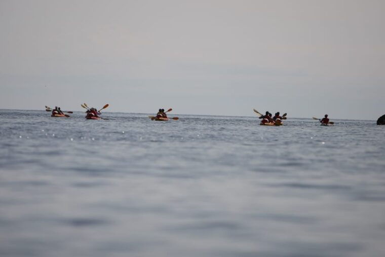 dubrovnik-sea-kayaking-morning-daytime-or-sunset-tours