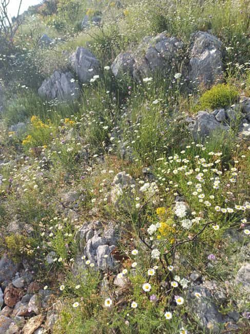 Dubrovnik: Sunrise Hike Mt. Sr + Sunrise Yoga at viewpoint. - Final Thoughts